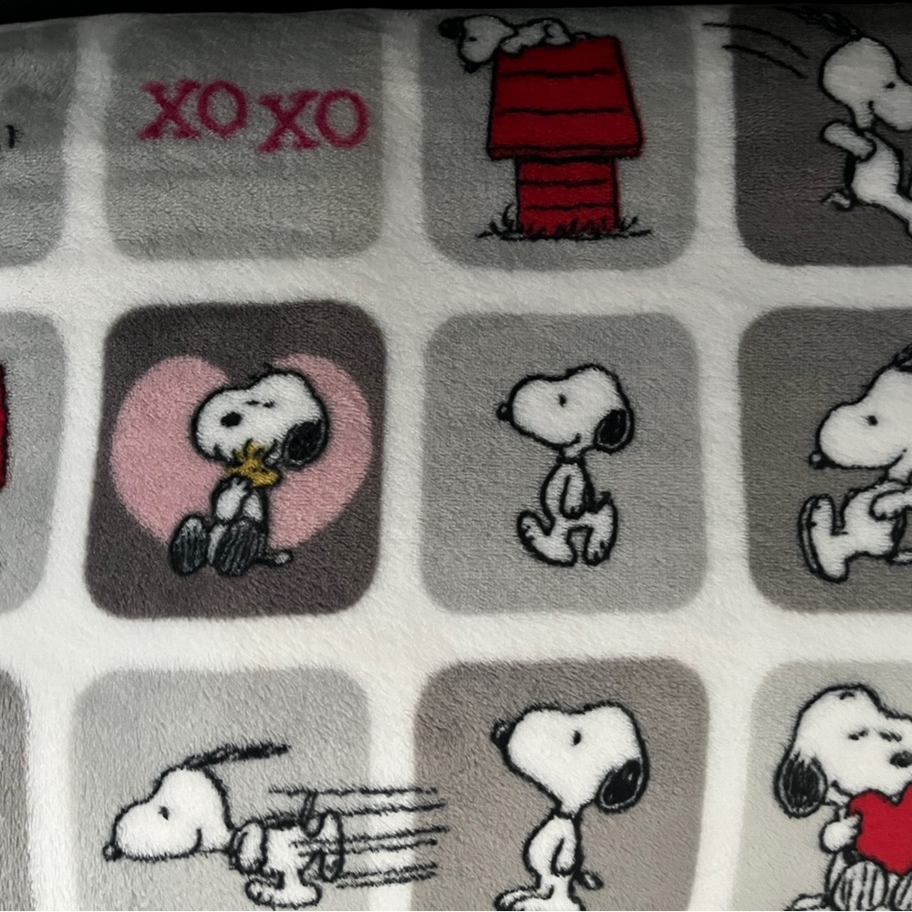 Snoopy Themed Blanket